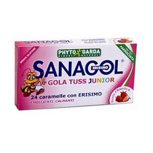 SANAGOL GOLA TUSS J FRAGOLA