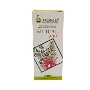 SILICAL PLUS 60 CAPSULE