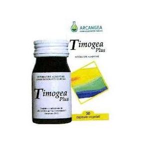 TIMOGEA PLUS