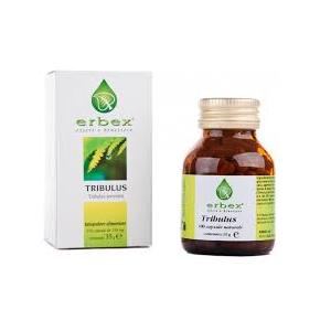TRIBULUS Capsule