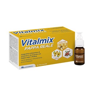 VITALMIX PAPPA REALE