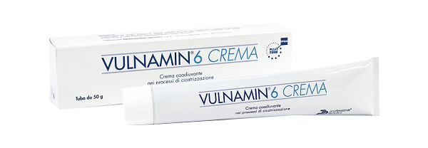 VULNAMIN 6 CREMA 50 Gr