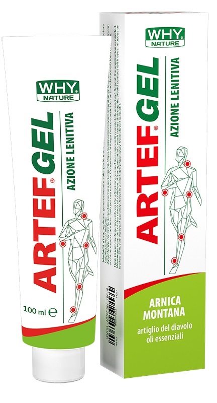 WHYNATURE ARTEF GEL 100 ML