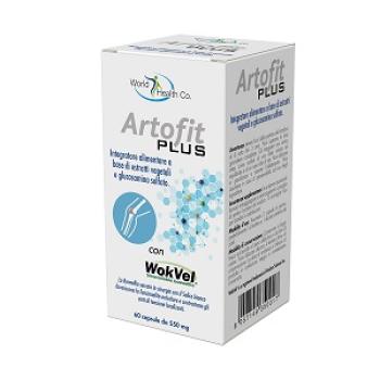ARTOFIT PLUS 60 CAPSULE