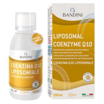 BANDINI COENZIMA Q10 LIPOSOMIALE 250ML