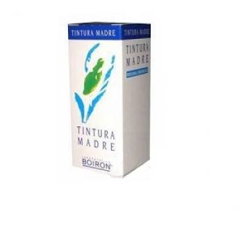 BOIRON CARDO MARIANO TINTURA MADRE
