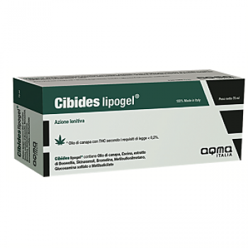 CIBIDES LIPOGEL 75ML