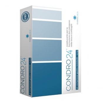CONDRO24 COMPRESSE