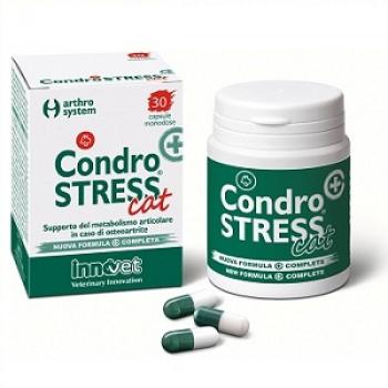 CONDROSTRESS + CAT