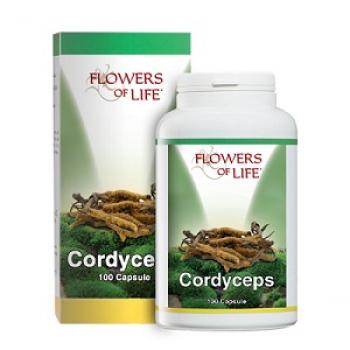 CORDYCEPS 100 Capsule