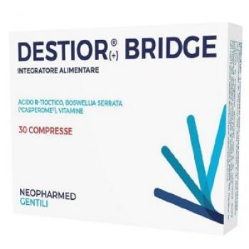 DESTIOR+ BRIDGE