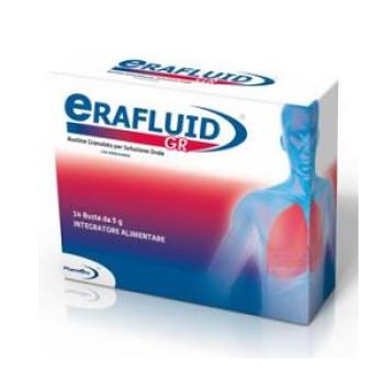 ERAFLUID GR 14 BUSTE