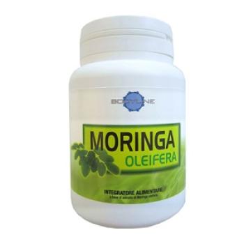 MORINGA OLEIFERA 60 CAPSULE