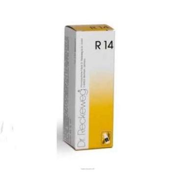 RECKEWEG R14 GOCCE 22 ML