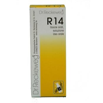 RECKEWEG R14 GOCCE 50 ML