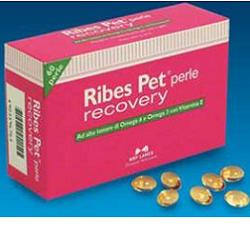 RIBES PET RECOVERY 60Perle