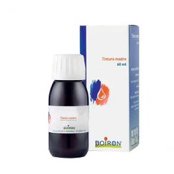 RUSCUS ACULEATUS 60 ML TM