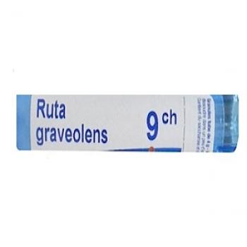 RUTA GRAVEOLENS 9CH GRANULI