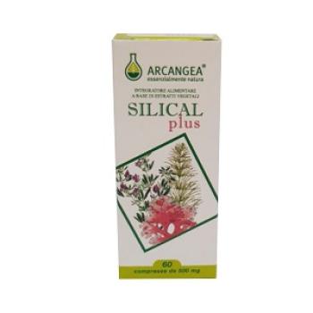 SILICAL PLUS 60 CAPSULE