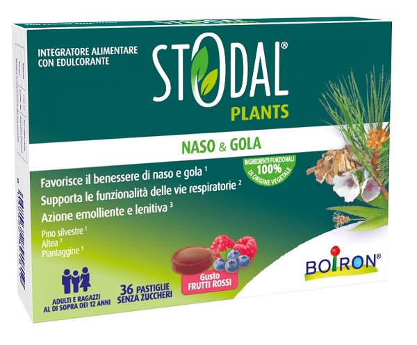 STODAL PLANTS FRUTTI RO 36 PASTIGLIE
