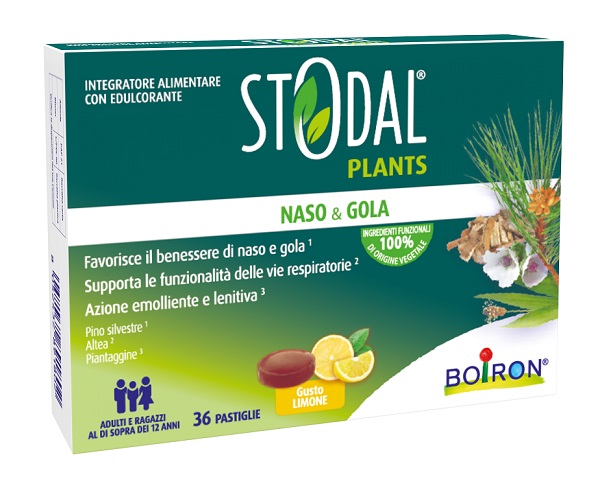 STODAL PLANTS LIMONE 36 PASTIGLIE