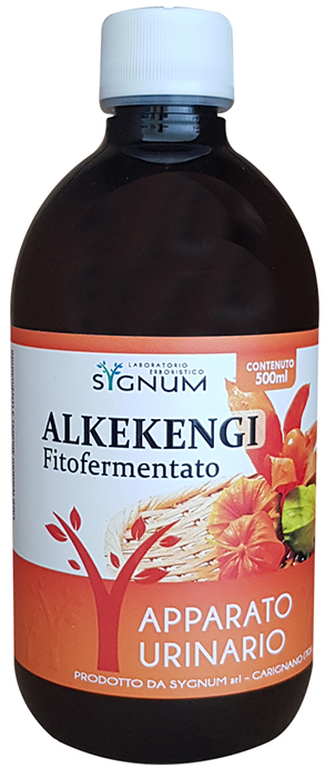 SYGNUM ALKEKENGI 500 ML