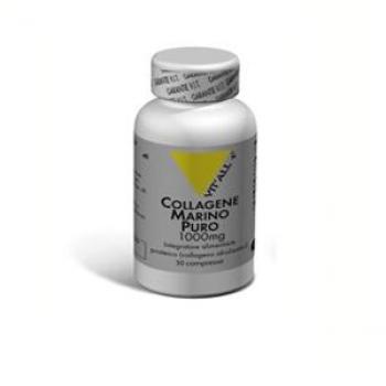 VITAL PLUS COLLAGENE MARINO PURO